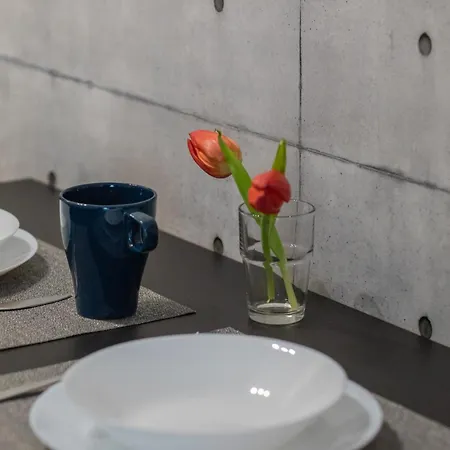 Emilii Plater Chic By Bookinghost Apartment *