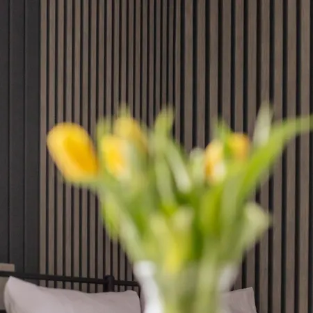 Emilii Plater Chic By Bookinghost * Stettin