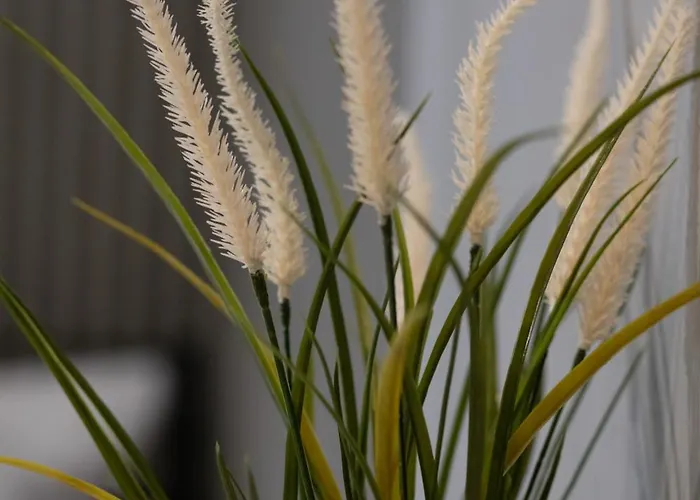 Appartement Emilii Plater Chic By Bookinghost Szczecin